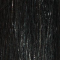 Couleur cheveux 1B Natural Black