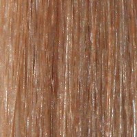 Couleur cheveux 12 Light Golden Brown