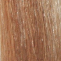 Couleur cheveux 10 Medium Ash Brown